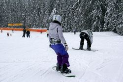 Alta Val Badia (146), Claudia R (45), Sci Alpino (290)